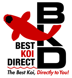 Best Koi Direct